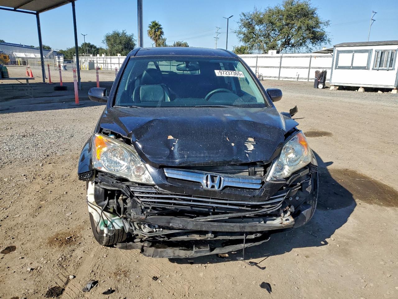 Honda Crv Exl Image 3