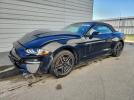 Ford Mustang Image 1
