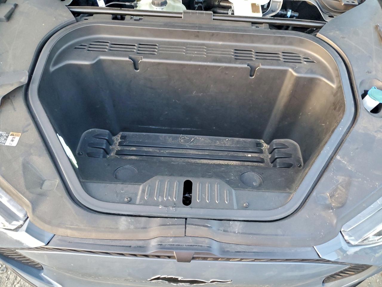 Ford Mustang Select Image 9