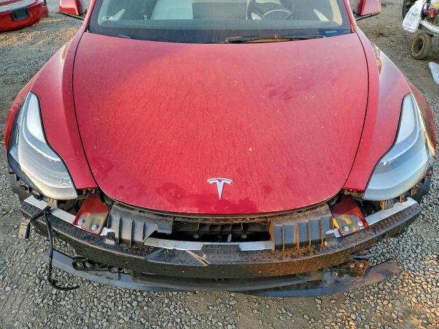 Tesla Model 3 Image 5