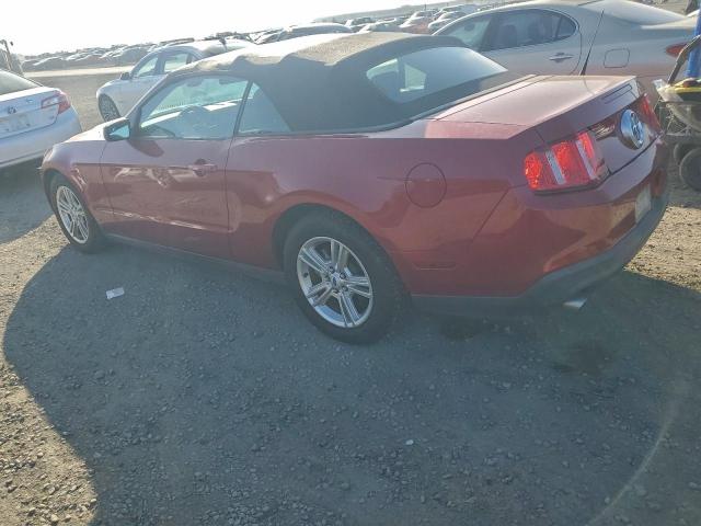 Ford Mustang Image 3