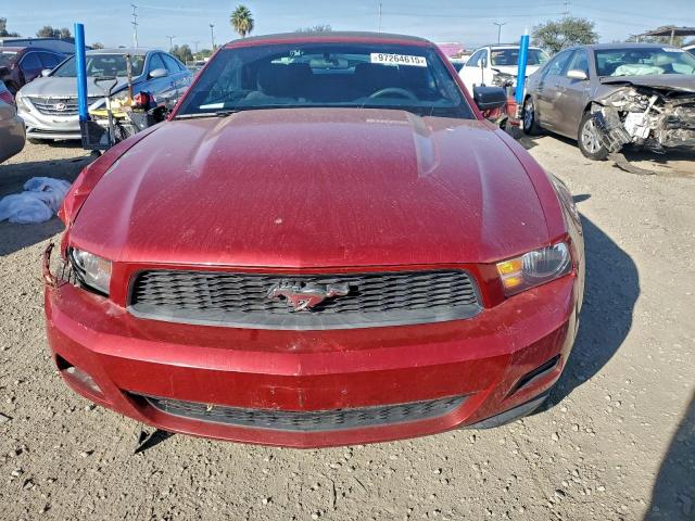 Ford Mustang Image 6