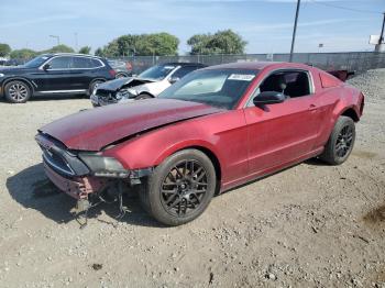 Salvage Ford Mustang