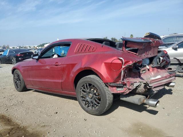 Ford Mustang Image 2