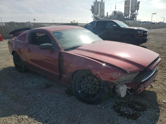 Ford Mustang Image 6