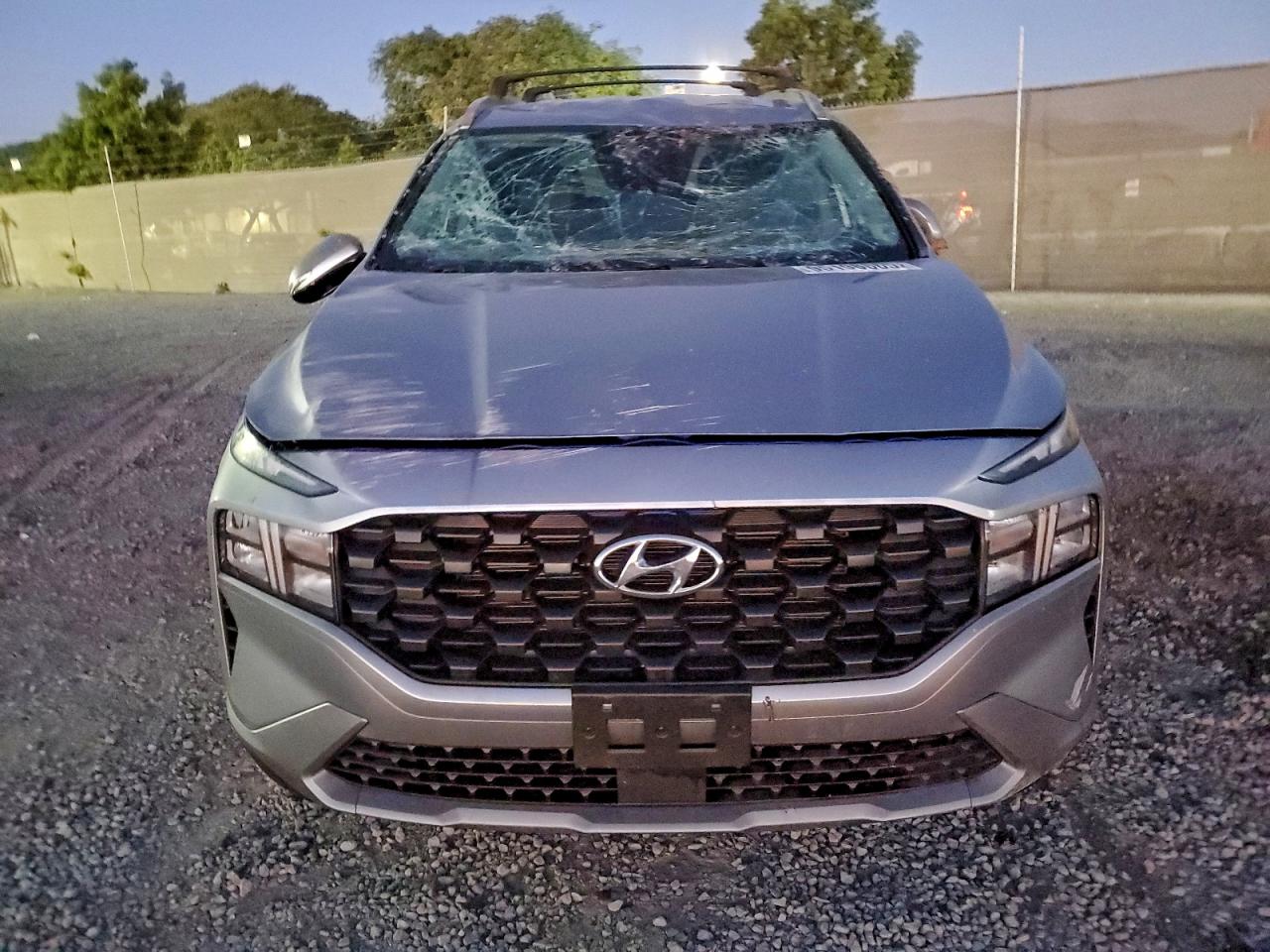 Hyundai SANTA FE Sel Image 6